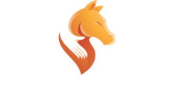 CJ's Legacy Ranch – Youth Equine Riding Lessons